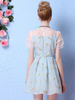 soft sky organza dress