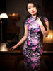 retro Chinese style Chi-Pao dress