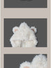 Princess teddy hooded jacket